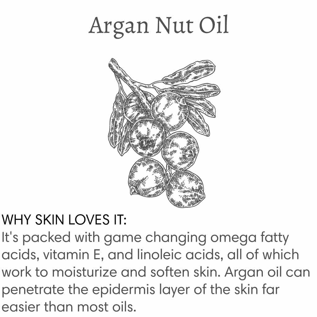 Title reads "Argan Nut Oil", with image of a branch of argan nuts followed by text that reads "Why skin loves it: It's packed with game changing omega fatty acids, vitamin E, and linoleic acids, all of which work to moisturize and soften skin. Argan oil can penetrate the epidermis layer of the skin far easier than most oils".
