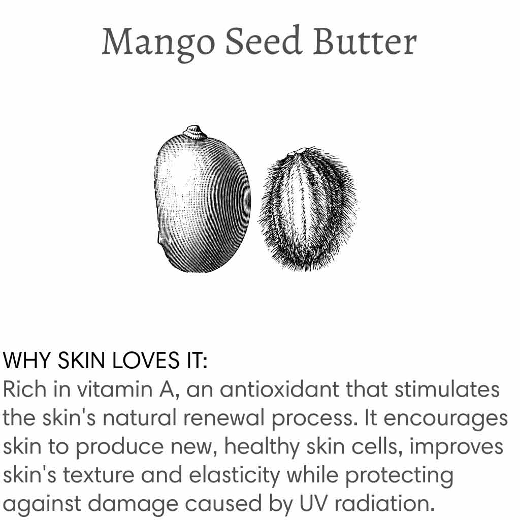 Title reads "Mango Seed Butter", with image of a mango and its seed followed by text that reads "Why skin loves it: Rich in vitamin A, an antioxidant that stimulates the skin's natural renewal process. It encourages skin to produce new, healthy skin cells, improves skin's texture and elasticity while protecting against damage cause by UV radiation.".