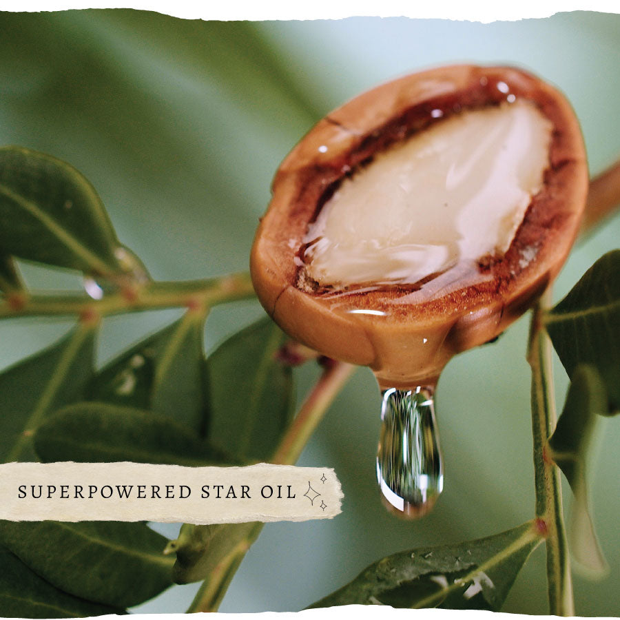 Argan plant with nut dripping argan oil, text overlay reads "Superpowered star oil".