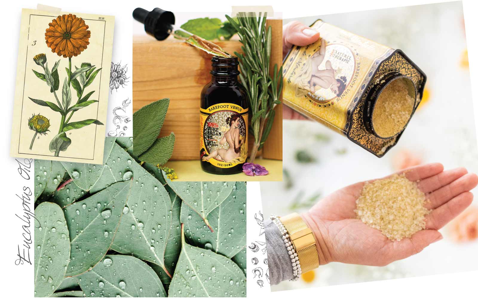 Collage images of mustard flower, Barefoot Venus 100% pure argan oil with dropper, woman pouring Barefoot Venus Mustard bath soak into her hand while holding the yellow tin in the other, and eucalyptus leaves. Text overlay reads "Eucalyptus Oil".
