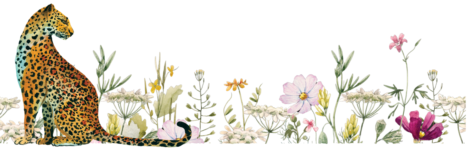 Leopard sitting among flowers and plants on a white background