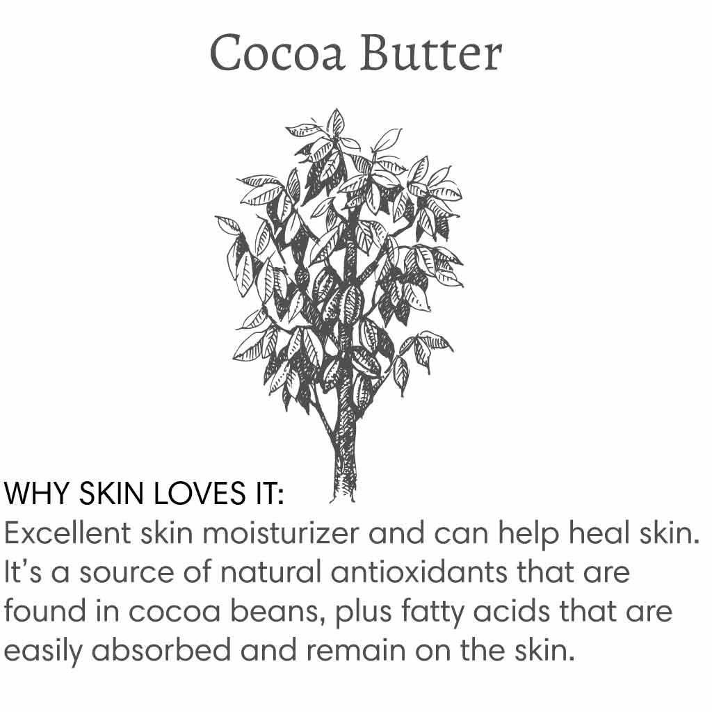 Title reads "Cocoa Butter", with image of a cocoa tree followed by text that reads "Why skin loves it: Excellent skin moisturizer and can help heal skin. It's a source of natural antioxidants that are found in cocoa beans, plus fatty acids that are easily absorbed and remain on the skin.".