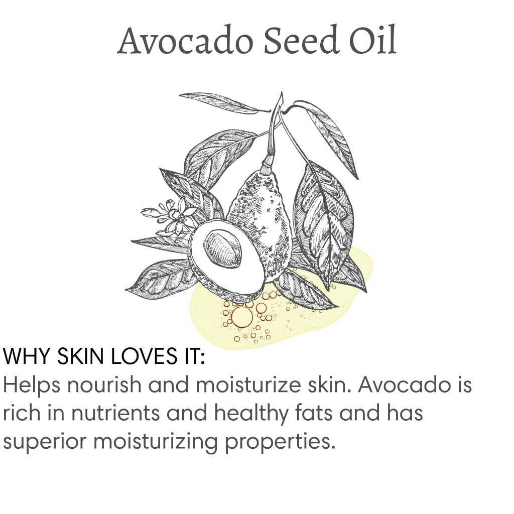Title reads "Avocado Seed Oil", with image of a branch of avocado tree followed by text that reads "Why skin loves it: Helps nourish and moisturize skin. Avocado is rich in nutrients and health fats and has superior moisturizing properties".