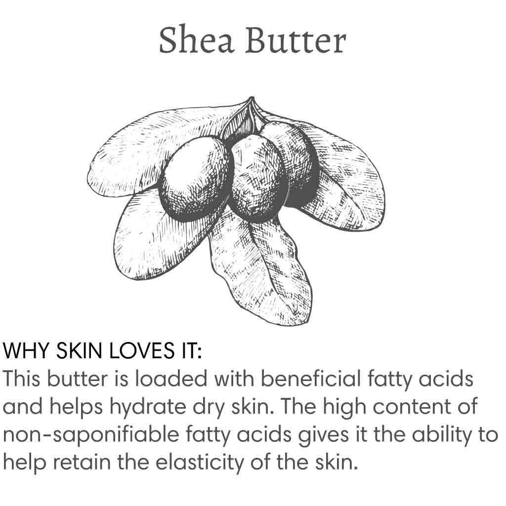 Title reads "Shea Butter", with image of a branch of a shea tree followed by text that reads "Why skin loves it: This butter is loaded with beneficial fatty acids and helps hydrate dry skin. The high content of non-saponifiable fatty acids gives it the ability to help retain the elasticity of the skin.".
