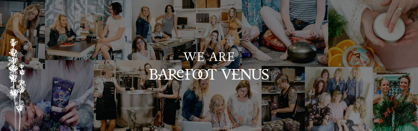 Collage of Barefoot Venus staff working and posing and Barefoot Venus products with dark overlay. Text reads "We are Barefoot Venus".