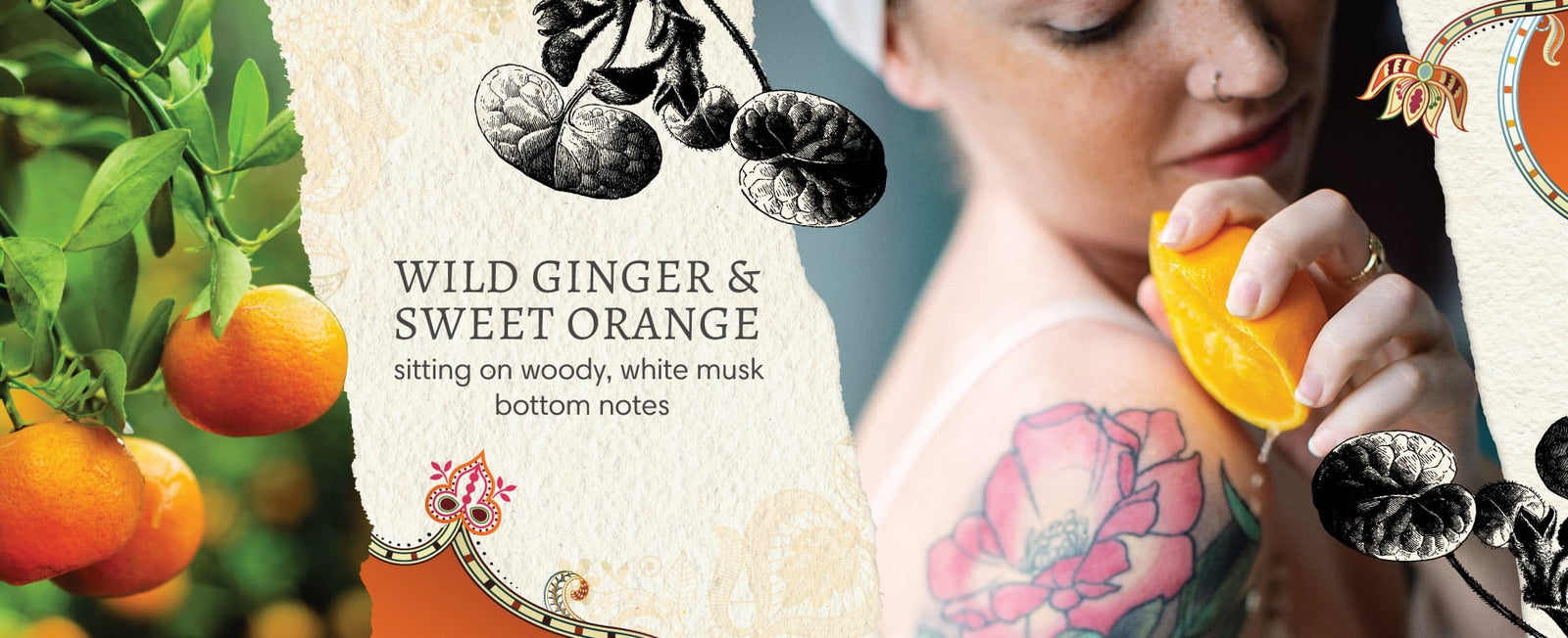 Orange tree with fruit hanging,pencil drawn ginger plant and woman squeezing an orange to produce juice onto her bare shoulder, separated by text that reads "Wild Ginger & Sweet Orange - sitting on woody, white musk bottom notes".